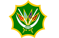 03 sandf