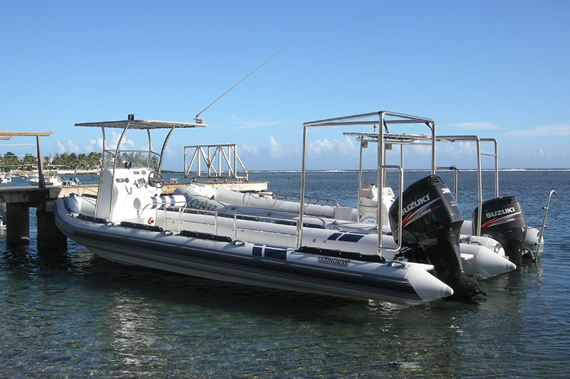 searider rib